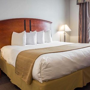Queen Room Disability Access